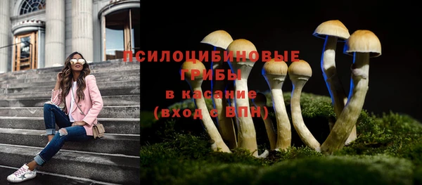 каннабис Коряжма