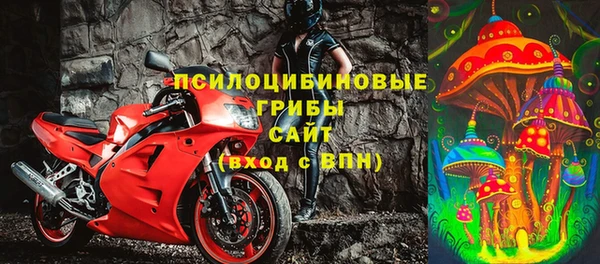 эйфоретик Кодинск