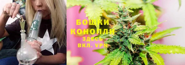 бошки Козельск