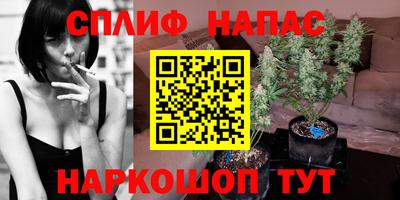 дживик Брянск