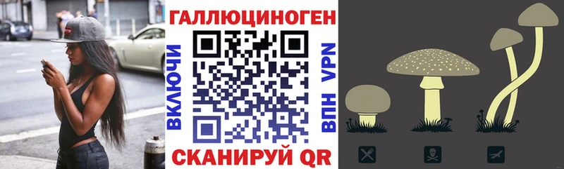Псилоцибиновые грибы Psilocybe  MEGA   Лобня  где найти  