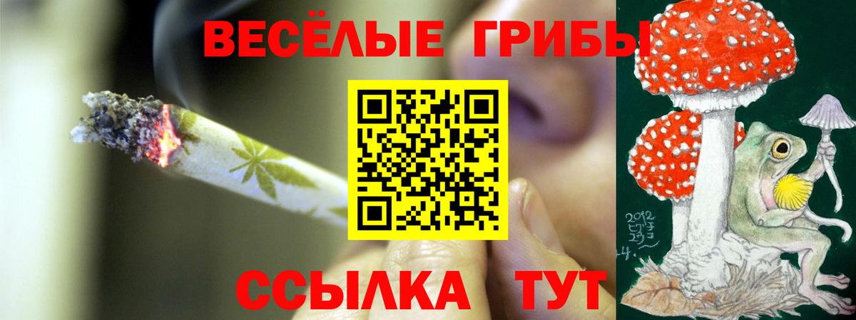 Галлюциногенные грибы Psilocybine cubensis Лобня